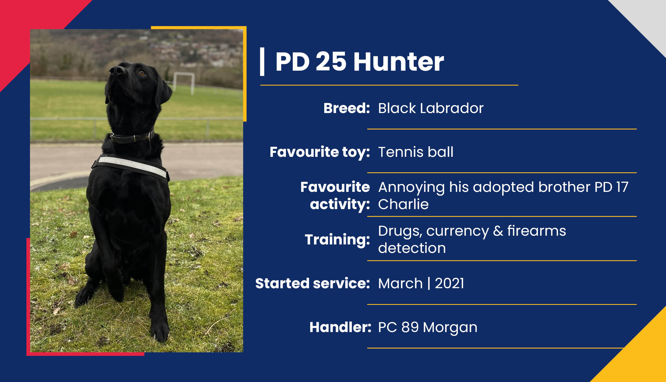 2752_01_Meet_Our_Police_Dogs_Eng_PD25_Hunter.jpg