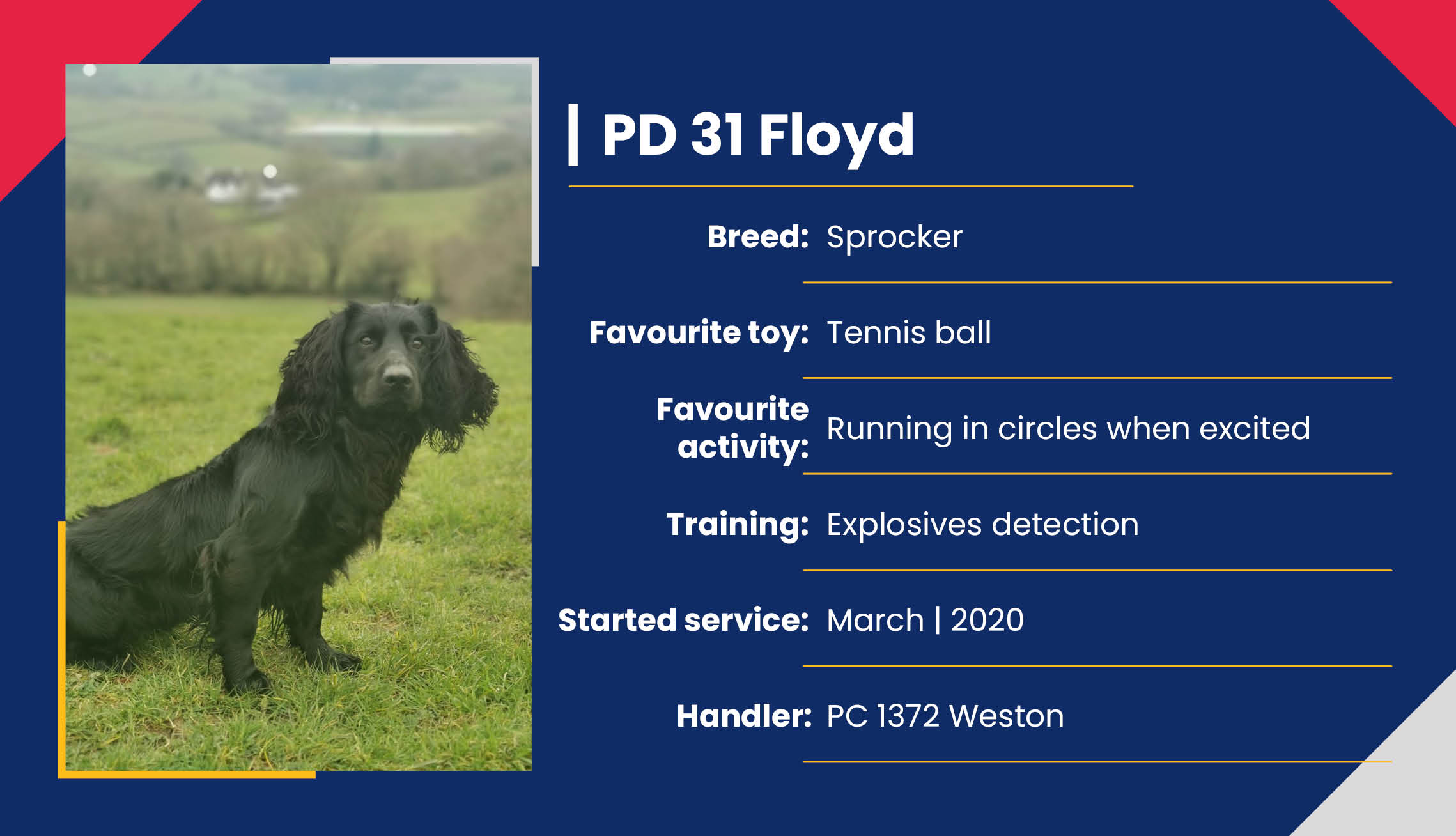 2752_01_Meet_Our_Police_Dogs_Eng_PD31_Floyd.jpg