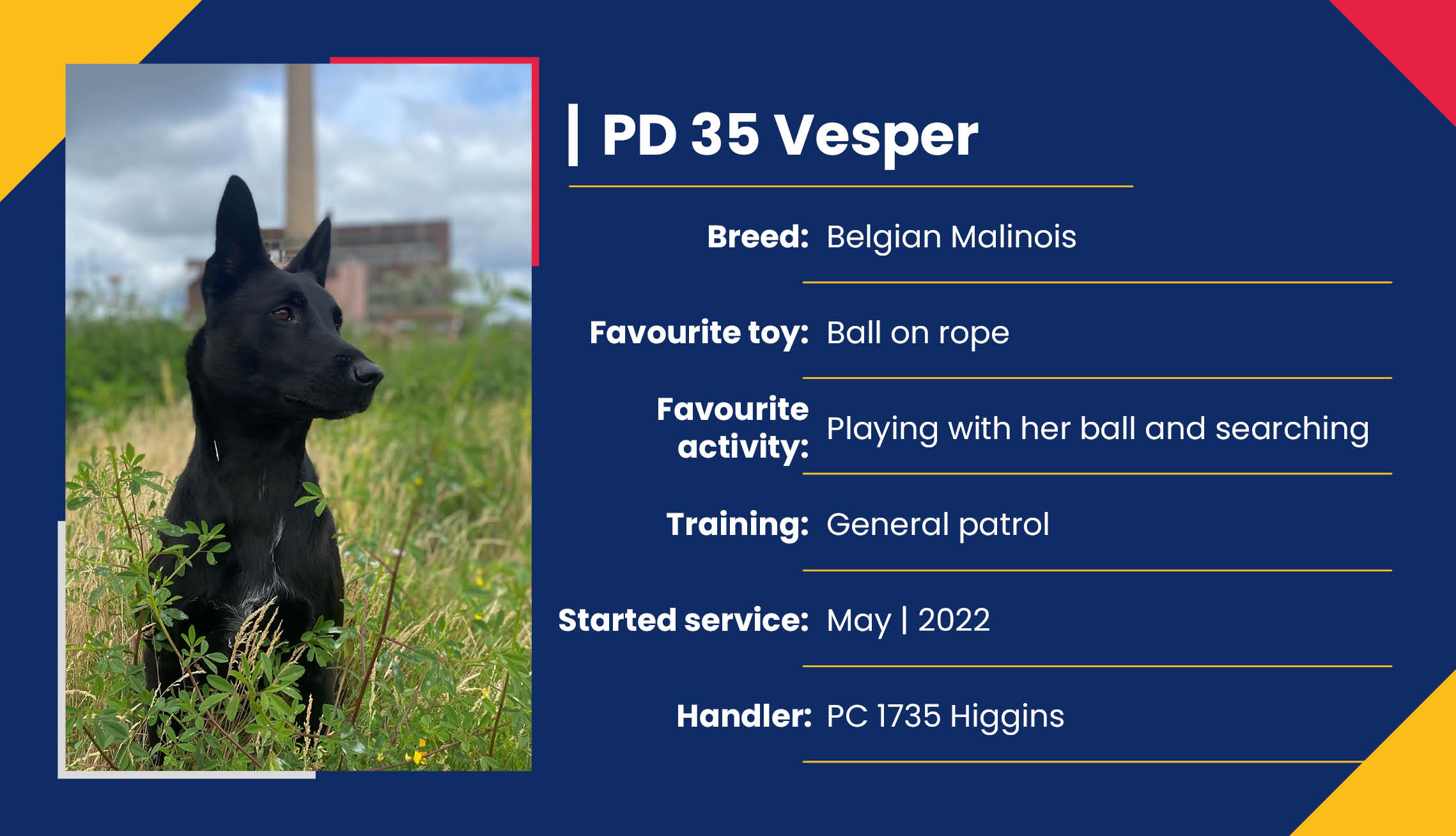 2752_01_Meet_Our_Police_Dogs_Eng_PD35_Vesper.jpg