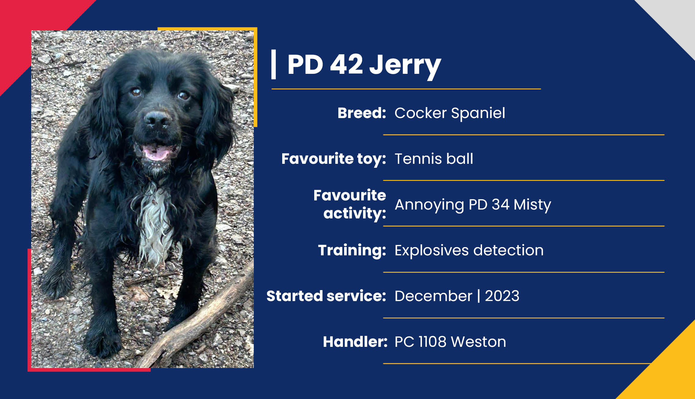 2752_01_Meet_Our_Police_Dogs_Eng_PD42_Jerry.jpg