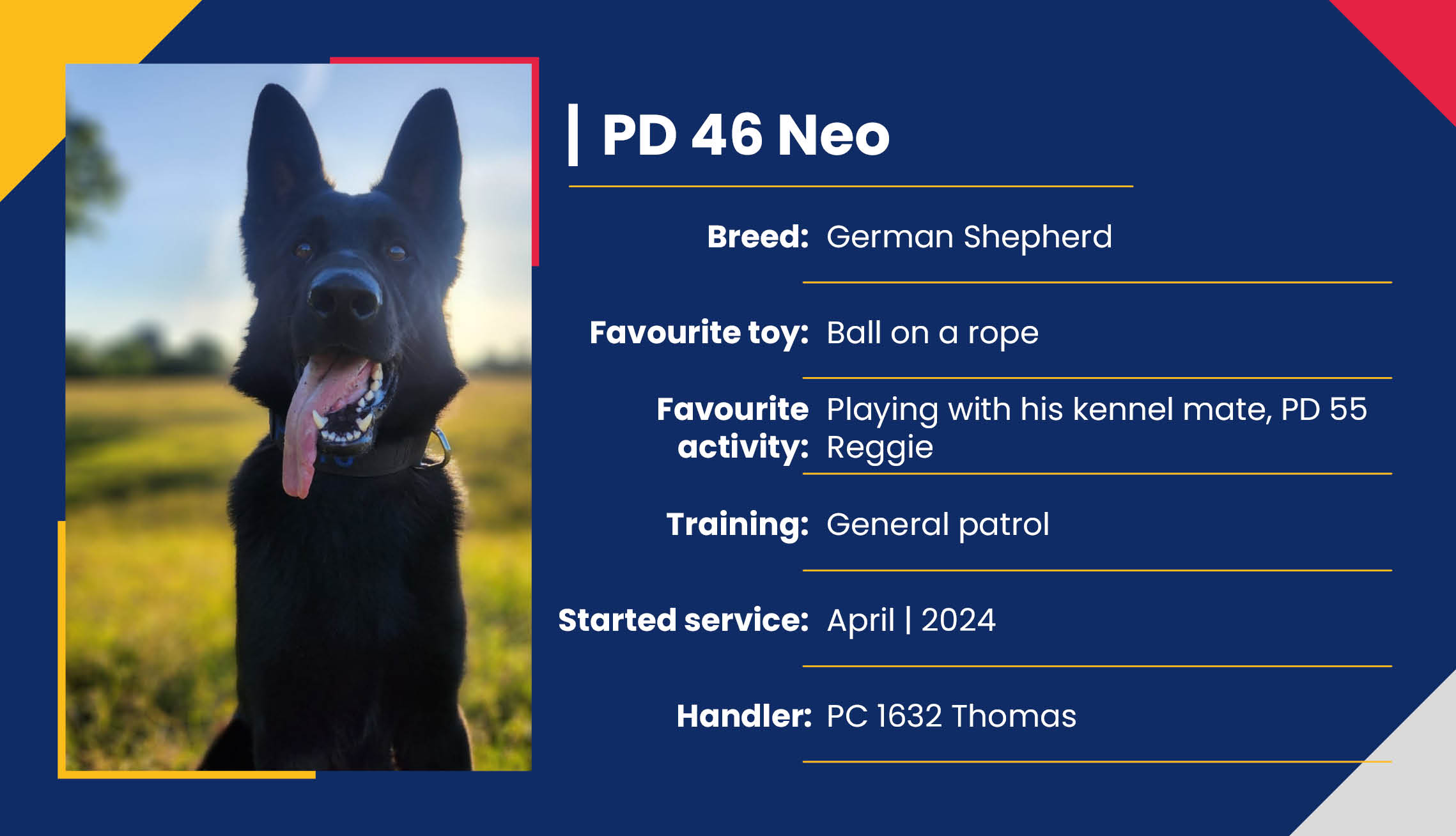 2752_01_Meet_Our_Police_Dogs_Eng_PD46_Neo.jpg