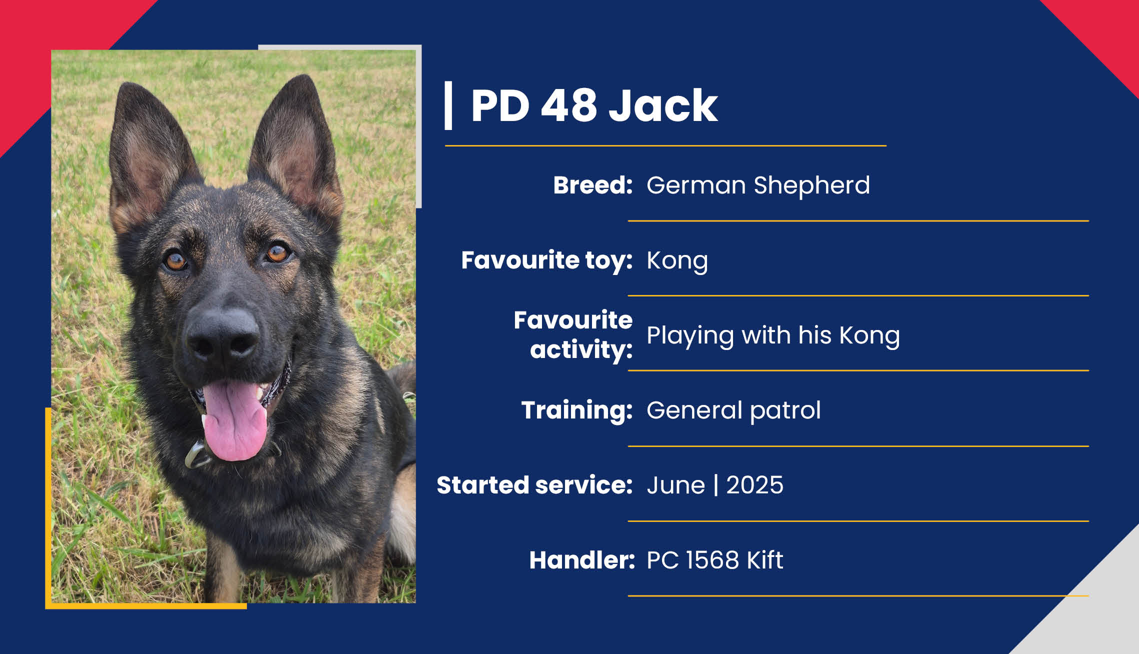 2752_01_Meet_Our_Police_Dogs_Eng_PD48_Jack.jpg