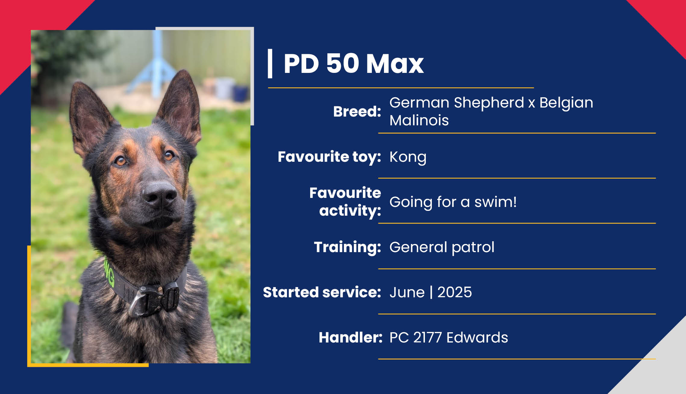 2752_01_Meet_Our_Police_Dogs_Eng_PD50_Max.jpg