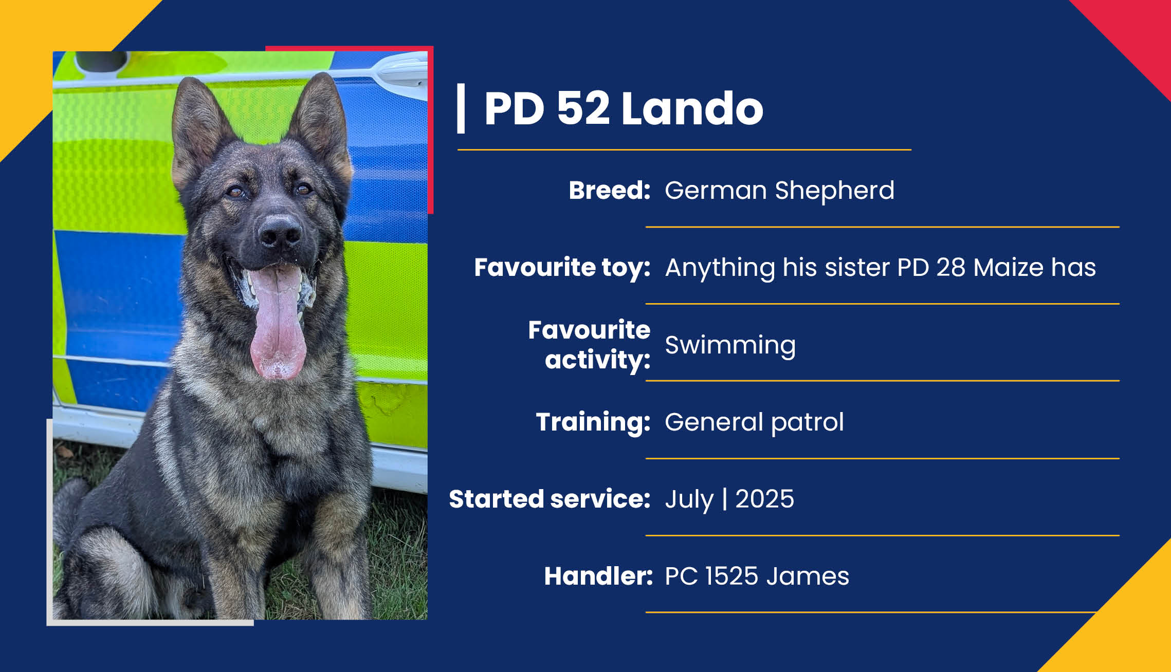 2752_01_Meet_Our_Police_Dogs_Eng_PD52_Lando.jpg