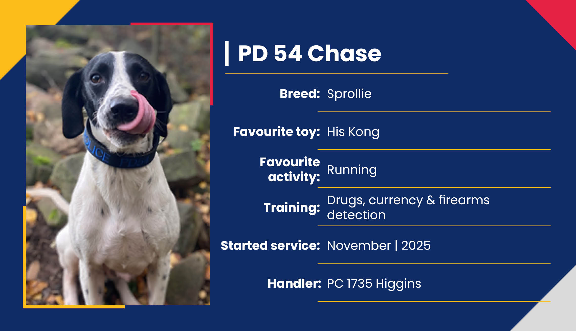 2752_01_Meet_Our_Police_Dogs_Eng_PD54_Chase.jpg
