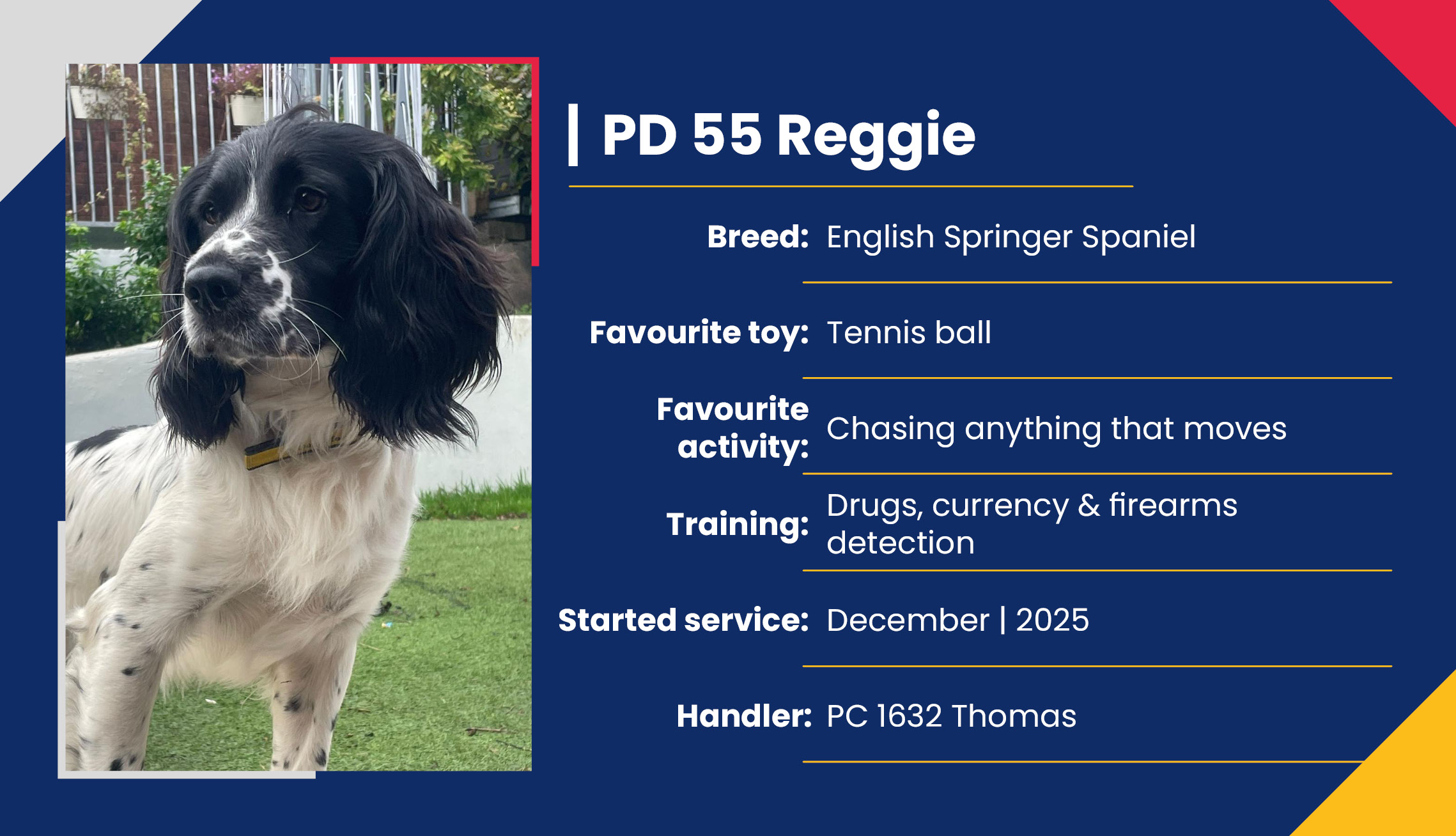 2752_01_Meet_Our_Police_Dogs_Eng_PD55_Reggie.jpg