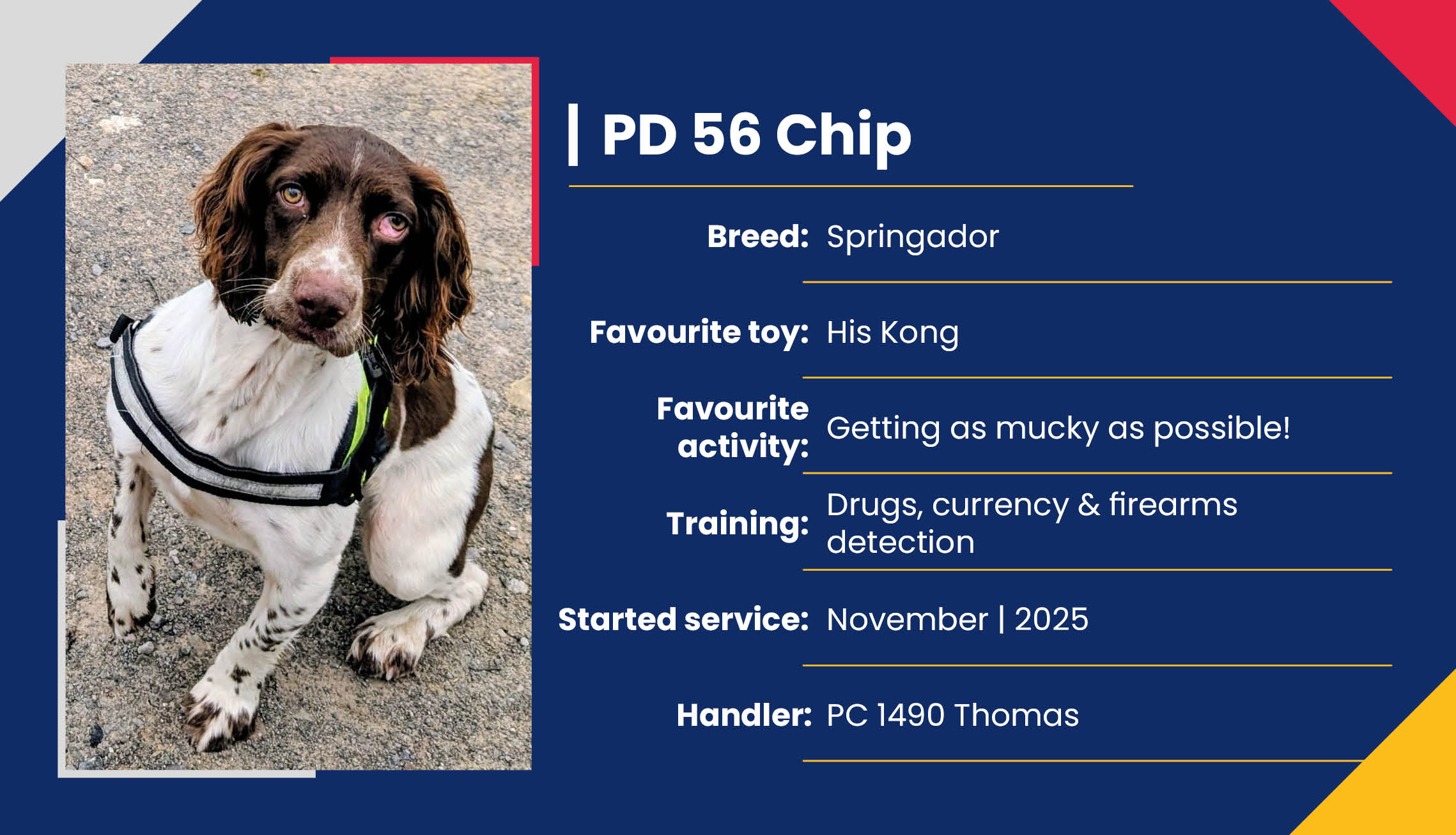 2752_01_Meet_Our_Police_Dogs_Eng_PD56_Chip.jpg