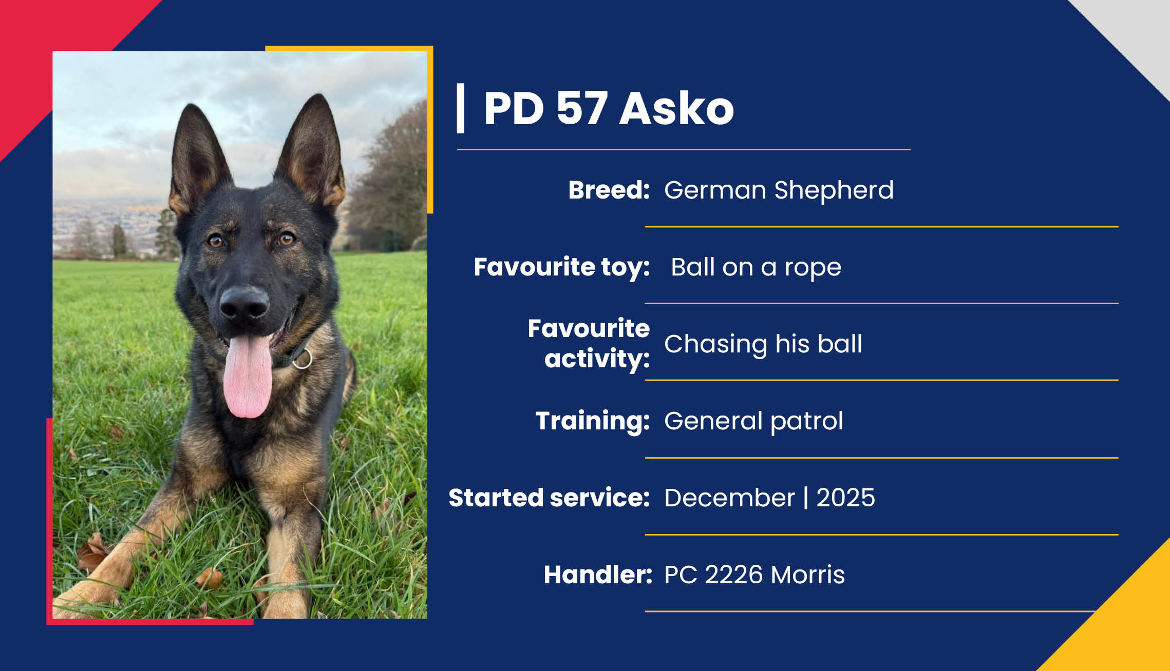 2752_01_Meet_Our_Police_Dogs_Eng_PD57_Asko.jpg