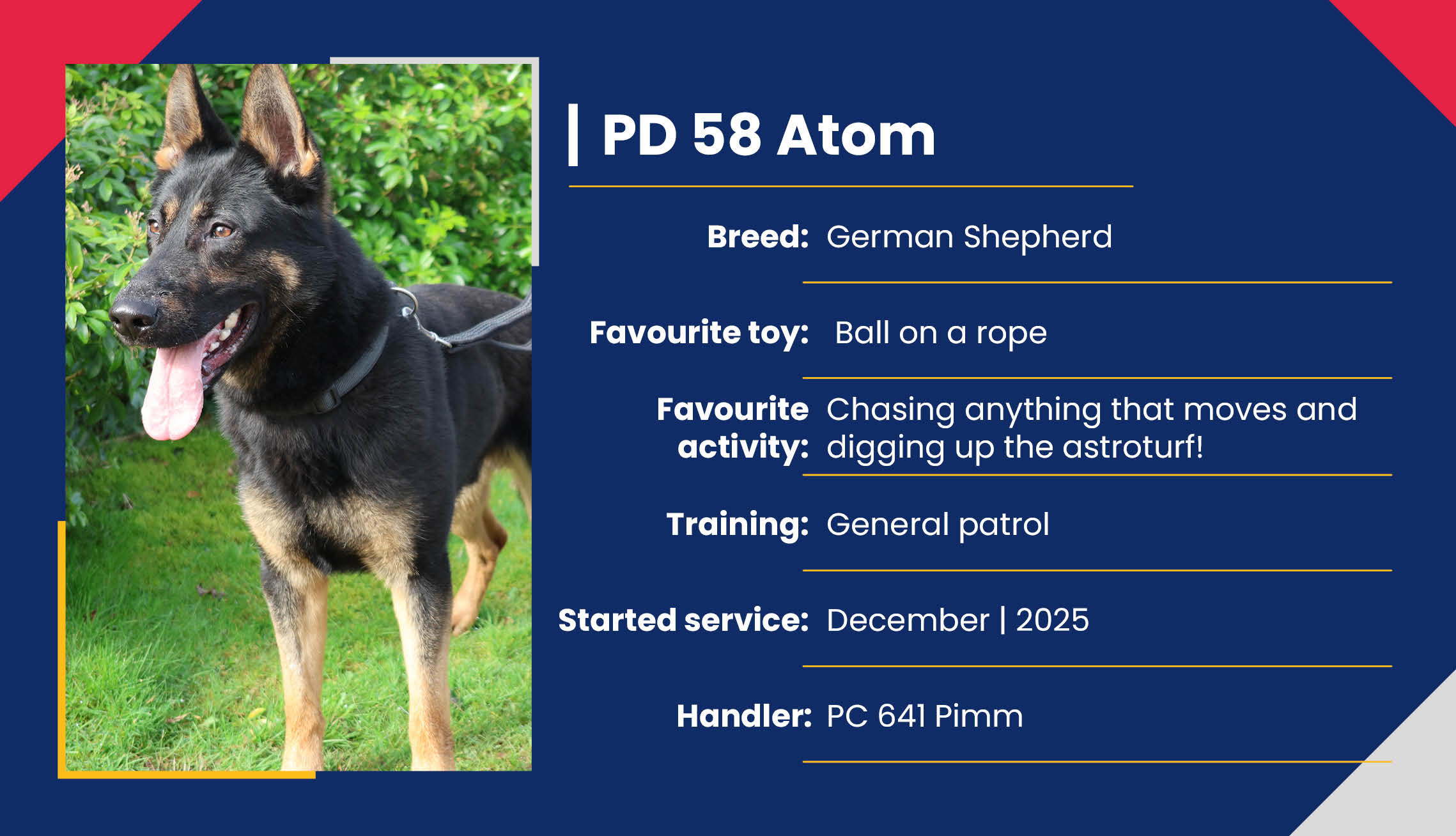 2752_01_Meet_Our_Police_Dogs_Eng_PD58_Atom.jpg