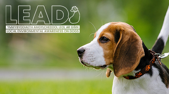 LEAD – Local environmental awareness on dogs