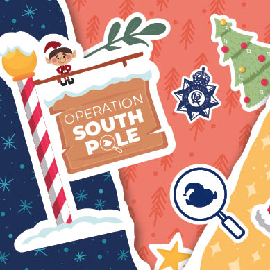 Operation South Pole