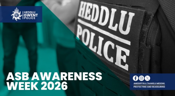 ASB action plan: our approach to reduce harm and improve safety in our ...