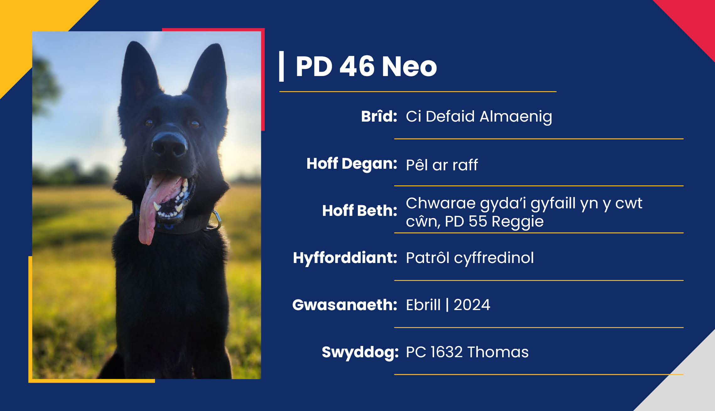 2752_01_Meet_Our_Police_Dogs_Cym_PD46_Neo.jpg