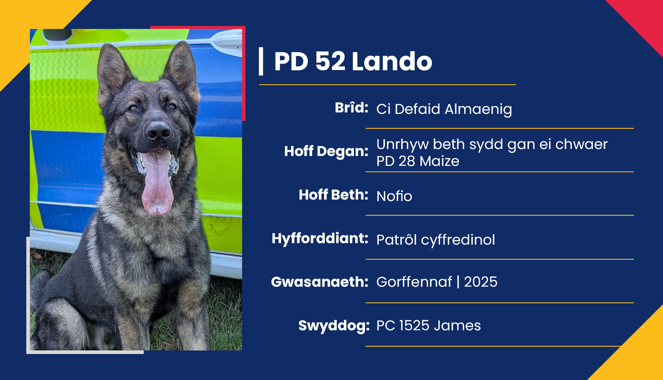 2752_01_Meet_Our_Police_Dogs_Cym_PD52_Lando.jpg