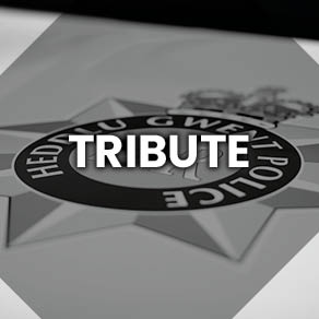Tribute